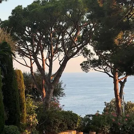 Balcon Sur La Mediterranee Nice